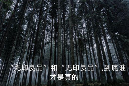 “無印良品”和“無印良品”,到底誰才是真的