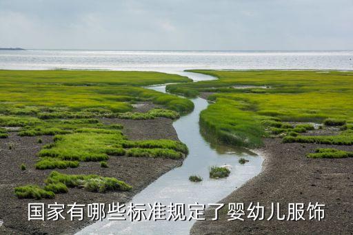 國家有哪些標準規(guī)定了嬰幼兒服飾