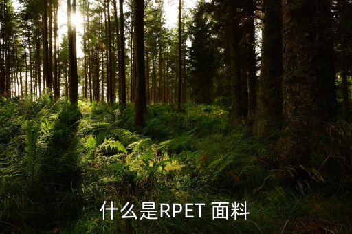 什么是RPET 面料