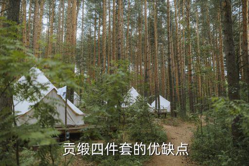  貢緞四件套的優(yōu)缺點(diǎn)