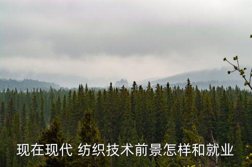 現(xiàn)在現(xiàn)代 紡織技術(shù)前景怎樣和就業(yè)