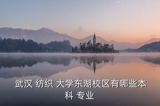  武漢 紡織 大學(xué)東湖校區(qū)有哪些本科 專業(yè)