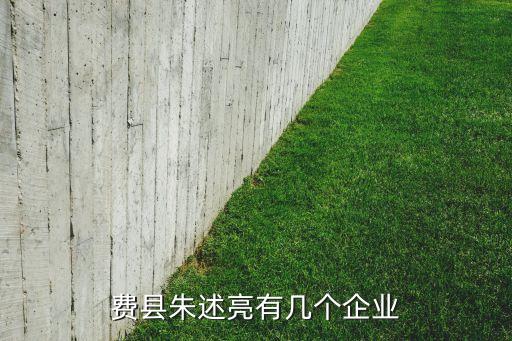 費(fèi)縣朱述亮有幾個(gè)企業(yè)
