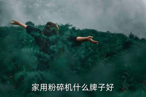 家用粉碎機(jī)什么牌子好