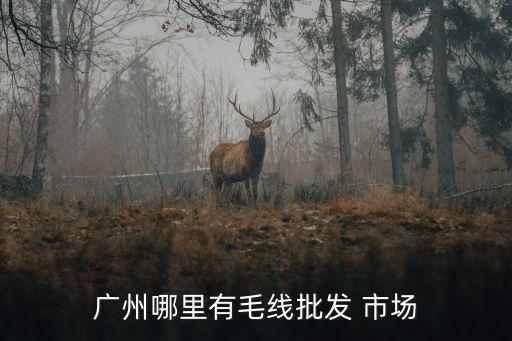 廣州哪里有毛線批發(fā) 市場(chǎng)