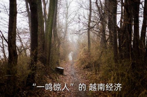 “一鳴驚人”的 越南經(jīng)濟(jì)