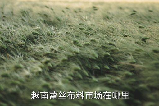  越南蕾絲布料市場(chǎng)在哪里