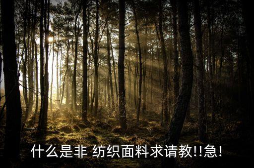 什么是非 紡織面料求請(qǐng)教!!急!