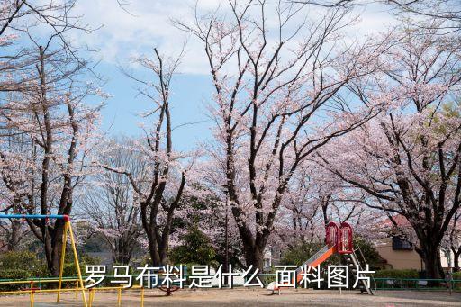 意大利面料,杰克瓊斯意大利面料