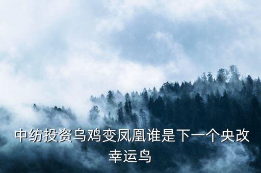 深圳中紡紡織品
