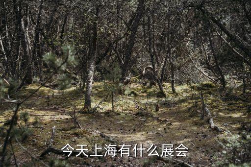今天上海有什么展會(huì)