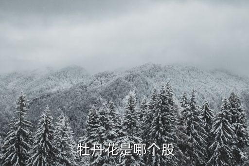  牡丹花是哪個(gè)股