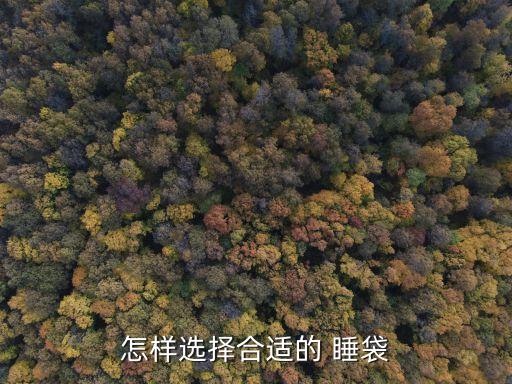 羽絨睡袋 什么面料 420t,羽絨面料什么樣是最好的