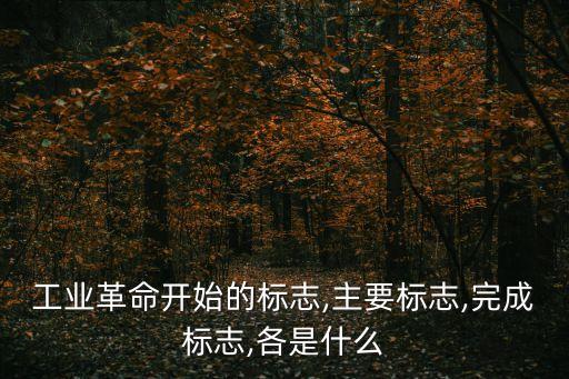 工業(yè)革命開始的標志,主要標志,完成標志,各是什么