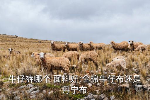 麻賽爾是什么面料,錦賽爾是什么面料成分