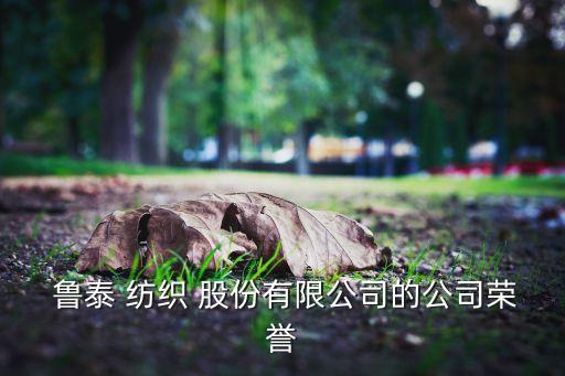  魯泰 紡織 股份有限公司的公司榮譽(yù)