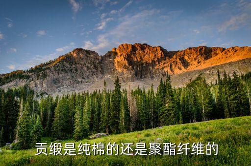全棉彈力貢緞面料,全棉貢緞面料是不是涼的