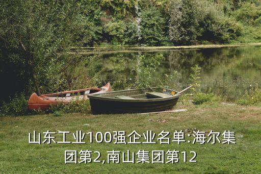  山東工業(yè)100強(qiáng)企業(yè)名單:海爾集團(tuán)第2,南山集團(tuán)第12