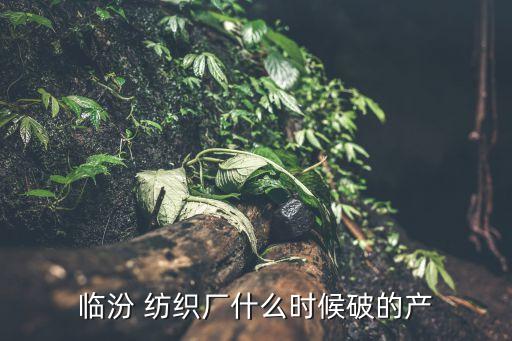 臨汾 紡織廠什么時(shí)候破的產(chǎn)