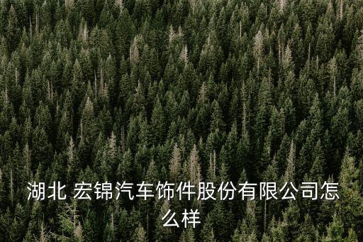  湖北 宏錦汽車飾件股份有限公司怎么樣
