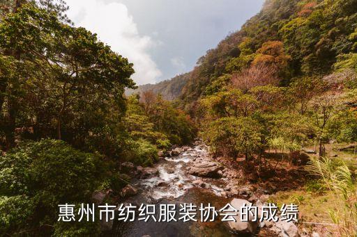 惠州市紡織服裝協(xié)會的成績