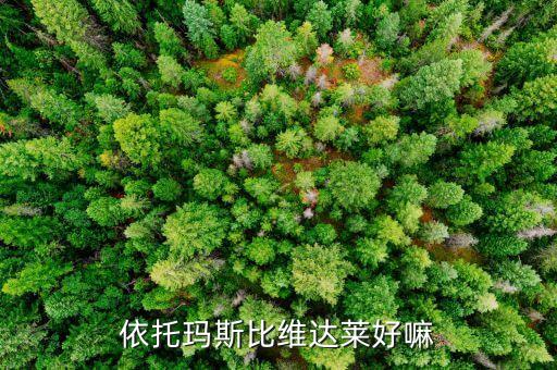 依托瑪斯比維達(dá)萊好嘛