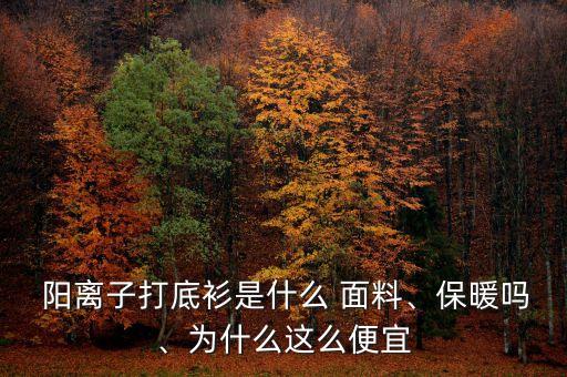  陽離子打底衫是什么 面料、保暖嗎、為什么這么便宜