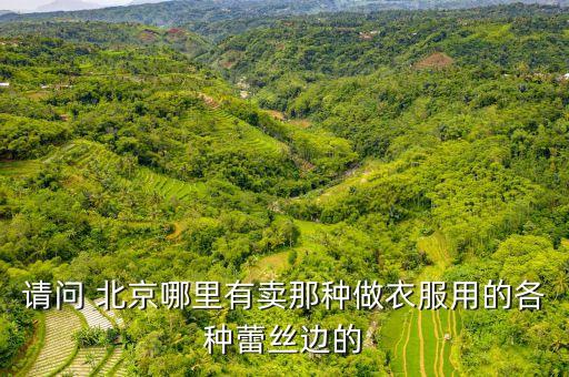 請(qǐng)問(wèn) 北京哪里有賣(mài)那種做衣服用的各種蕾絲邊的