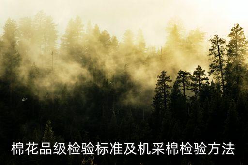 棉紡織技術(shù)登錄,黃道婆棉紡織技術(shù)