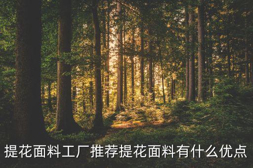 提花面料工廠推薦提花面料有什么優(yōu)點