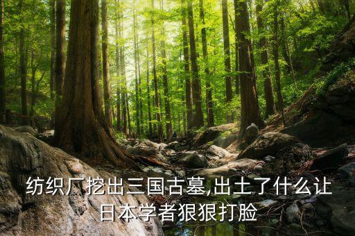  紡織廠挖出三國(guó)古墓,出土了什么讓日本學(xué)者狠狠打臉