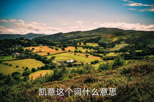  凱意這個(gè)詞什么意思