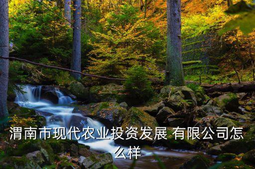 渭南市現(xiàn)代農(nóng)業(yè)投資發(fā)展 有限公司怎么樣
