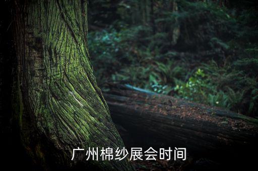 廣東特殊紗線紡織無梭織帶