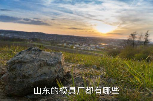 山東的模具廠都有哪些