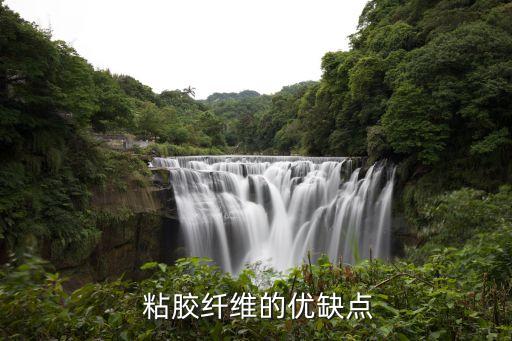  粘膠纖維的優(yōu)缺點(diǎn)