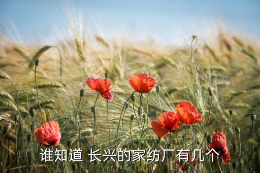 長(zhǎng)興智能紡織,長(zhǎng)興紡織企業(yè)名單