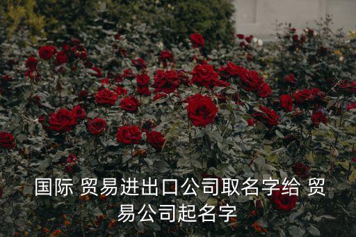  國際 貿(mào)易進出口公司取名字給 貿(mào)易公司起名字
