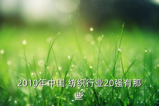 2010年中國 紡織行業(yè)20強有那些