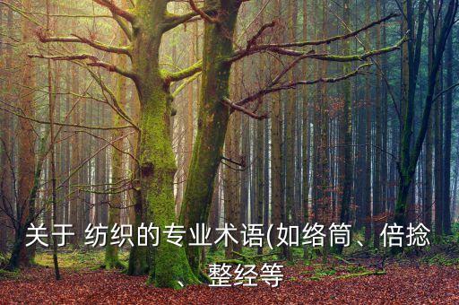 關(guān)于 紡織的專業(yè)術(shù)語(yǔ)(如絡(luò)筒、倍捻、 整經(jīng)等