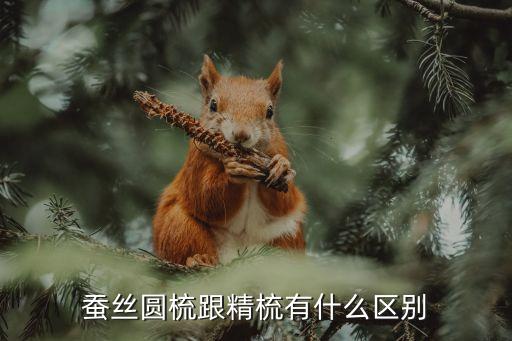 紡織梳理器