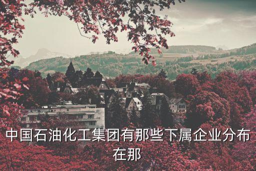 安慶石化腈綸有限公司,安慶精誠(chéng)石化檢測(cè)有限公司招聘