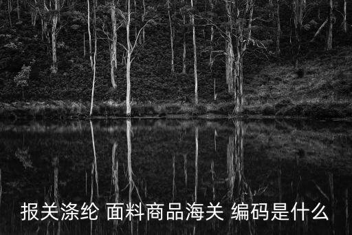 報關(guān)滌綸 面料商品海關(guān) 編碼是什么