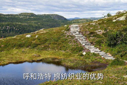 中國(guó)棉紡織業(yè)具有,中國(guó)最大的棉紡織企業(yè)
