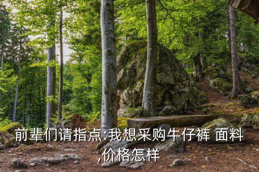 前輩們請(qǐng)指點(diǎn):我想采購(gòu)牛仔褲 面料,價(jià)格怎樣