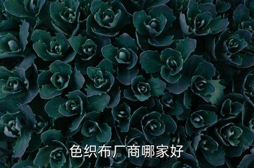 色織布廠商哪家好