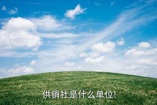  供銷社是什么單位!