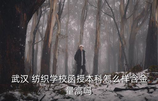  武漢 紡織學(xué)校函授本科怎么樣含金量高嗎