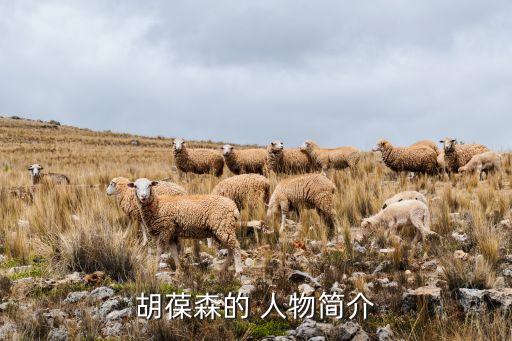 胡葆森的 人物簡(jiǎn)介