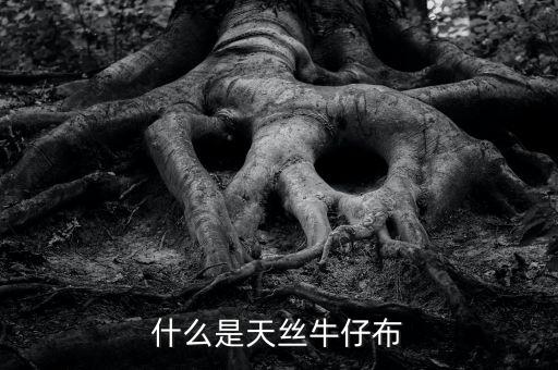 什么是天絲牛仔布